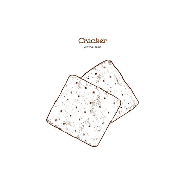 Cracker, Hand Draw Sketch Vector.