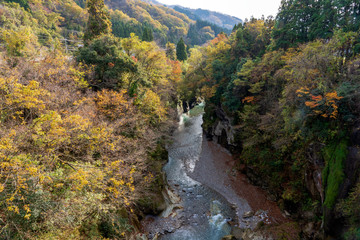 紅葉した手取峡谷
