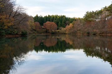 晩秋の池　水面に映る木々