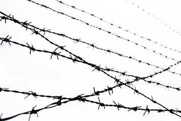 barbed wire - freedom