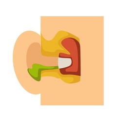 Otitis ear anatomy pus infectional disease medicine