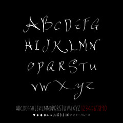 벡터 문자 / 손으로 쓴 글씨체