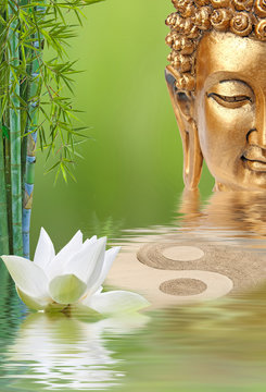461 Best Fleur De Lotus Images Stock Photos Vectors Adobe Stock