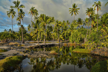 Fototapeta na wymiar lake in tropical forest