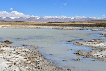 Strongly saline lake Ruldan (Nak) near the village of Yakra in Tibet, China