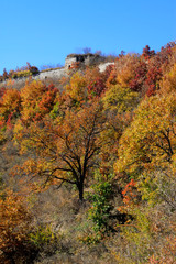 Fototapeta premium Great Wall of China architectural scenery