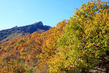 Mountain scenery