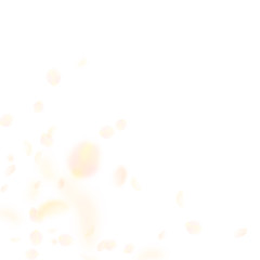 Yellow orange flower petals falling down. Resplend