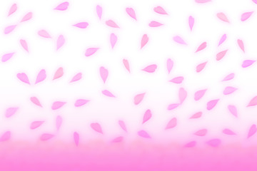 Cherry blossom petals. 桜の花びら、桜吹雪