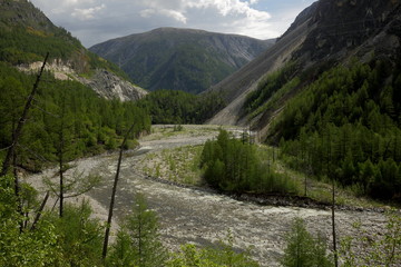 In the deep gorge of the Black Irkut river