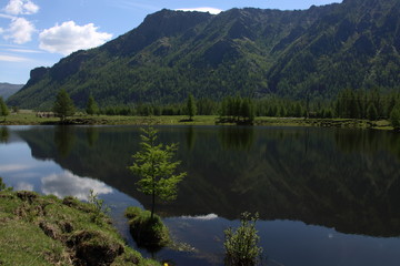 Fototapeta na wymiar Forest lake in the Sentsa river Delta