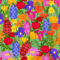 Floral background vector illustration. Flowery field seamless pattern. Different colorful cartoon flowers such as roses, daffodil, poppy, tulip, iris, daylily, gerbera with grass.