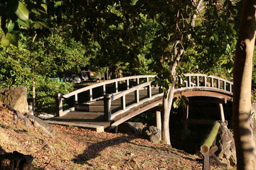 Fototapeta premium 日本庭園