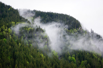 clouds hanging deep over forest