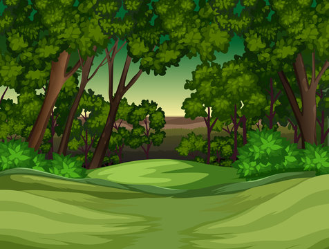 A tropical rainforest background