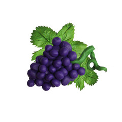 Colorful plasticine handmade 3D grape berry 
fruit    icon isolated on white background

