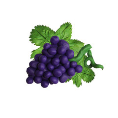 Colorful plasticine handmade 3D grape berry 
fruit    icon isolated on white background

