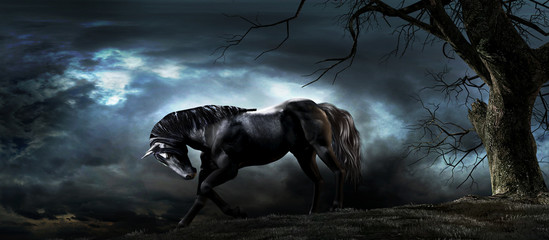Horse in the moonlight © Melkor3D