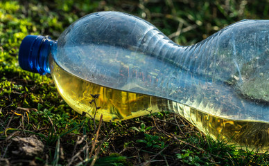 Plastikflasche im Gras Umweltverschmutzung