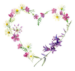 Watercolor heart of flowers of chamomile, bluebell and wild carnation on a white background. For greetings and invitations