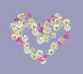 Watercolor heart of daisy flowers and wild carnations on a white background. For greetings and invitations