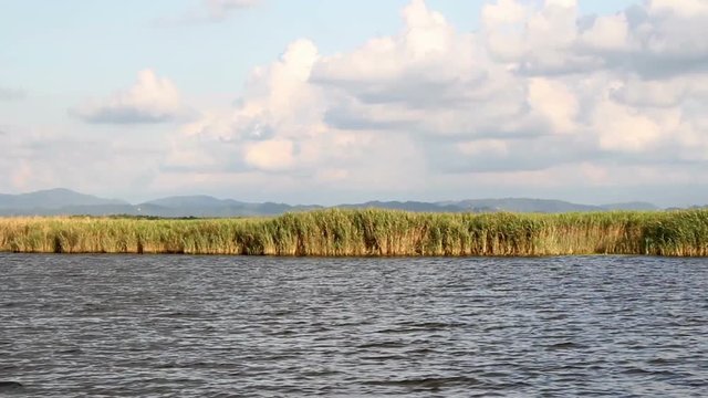 Kolkheti national reserve Sail shot in the water of kolkheti national park
