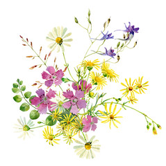 Watercolor composition of wild colorful flowers on white background .For greetings and invitations