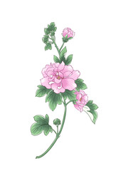 Colorful illustration of flower, isolated.