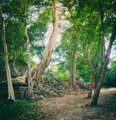 Beng Mealea or Bung Mealea temple. Siem Reap. Cambodia