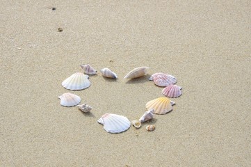 砂に置いた貝殻　ハートの形に置いた貝殻