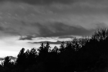 Trees silhouettes against the sky at dusk, with mountains layers in the background