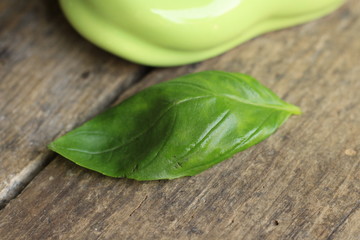 Green basil leaf and ceramic boot