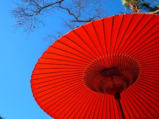 Wagasa, Japanese traditional umbrell made of paper and bamboo