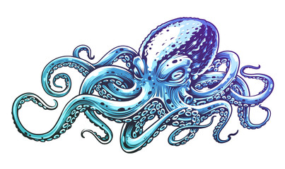 Blue Octopus Vector Art