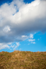 Obraz premium Meadow and grass with blue sky and clouds