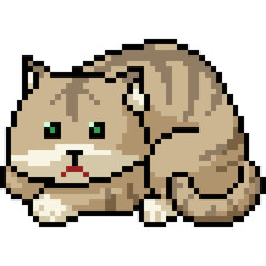 vector pixel art cat pet