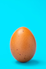 speckled brown egg on blue background