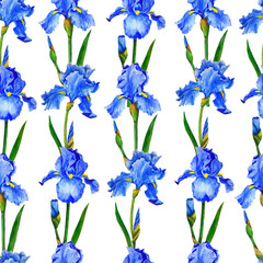 Pattern flowers irises watercolor digital paper decoration design botanical illustration textile invitations greeting card	
