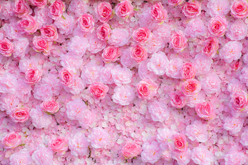 Pink roses background  / Pink roses wallpaper