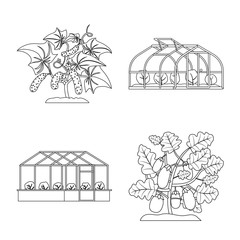 Vector illustration of greenhouse and plant sign. Set of greenhouse and garden stock symbol for web.