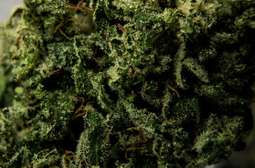 Grand Funk OG Cured Cannabis Bud Macro Shot Alt