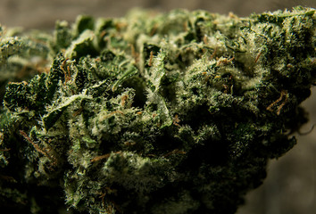 Grand Funk OG Cured Cannabis Bud Shot