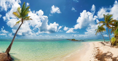 Blue sky,coconuts trees,  turquoise water and golden sand, panoramic view of Caravelle beach, Saint Anne, Guadeloupe, French West Indies.