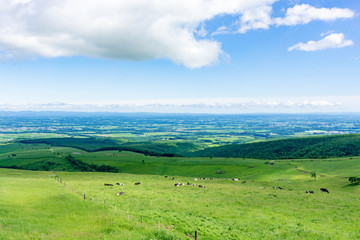 Fototapeta premium Naitai Kogen Farm na niebieskim niebie