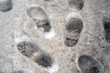 Food steps on snow.