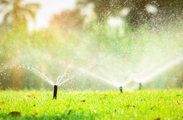 Automatic lawn sprinkler watering green grass. Sprinkler with automatic system. Garden irrigation system watering lawn. Sprinkler system maintenance service. Home service irrigation sprinkler. - obrazy, fototapety, plakaty
