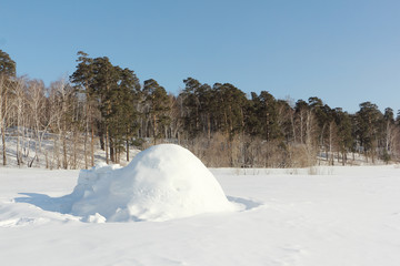 Igloo  standing on a snowy glade  in the winter