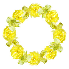 Circle of yellow Alstroemeria and tulips. Isolated 