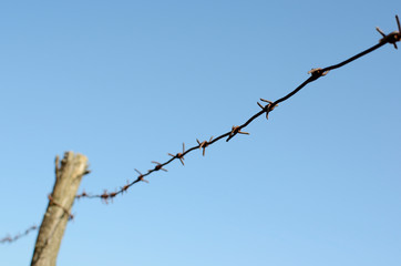 Barbed wire on a background of blue sky.