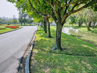 Scenic View of Walk Way and Trees in the Park